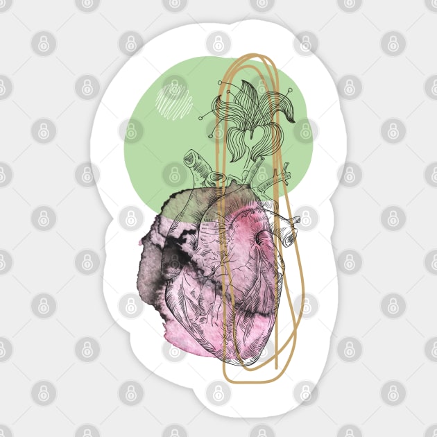 Anatomical heart, engraving drawing. Sticker by Olga Berlet